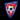 Fanion du club